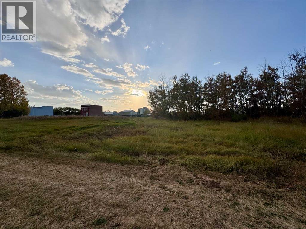 23 3rd Street, Gadsby, Alberta  T0C 1K0 - Photo 2 - A2258653