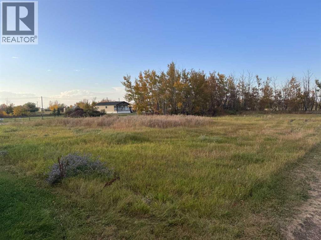 23 3rd Street, Gadsby, Alberta  T0C 1K0 - Photo 3 - A2258653