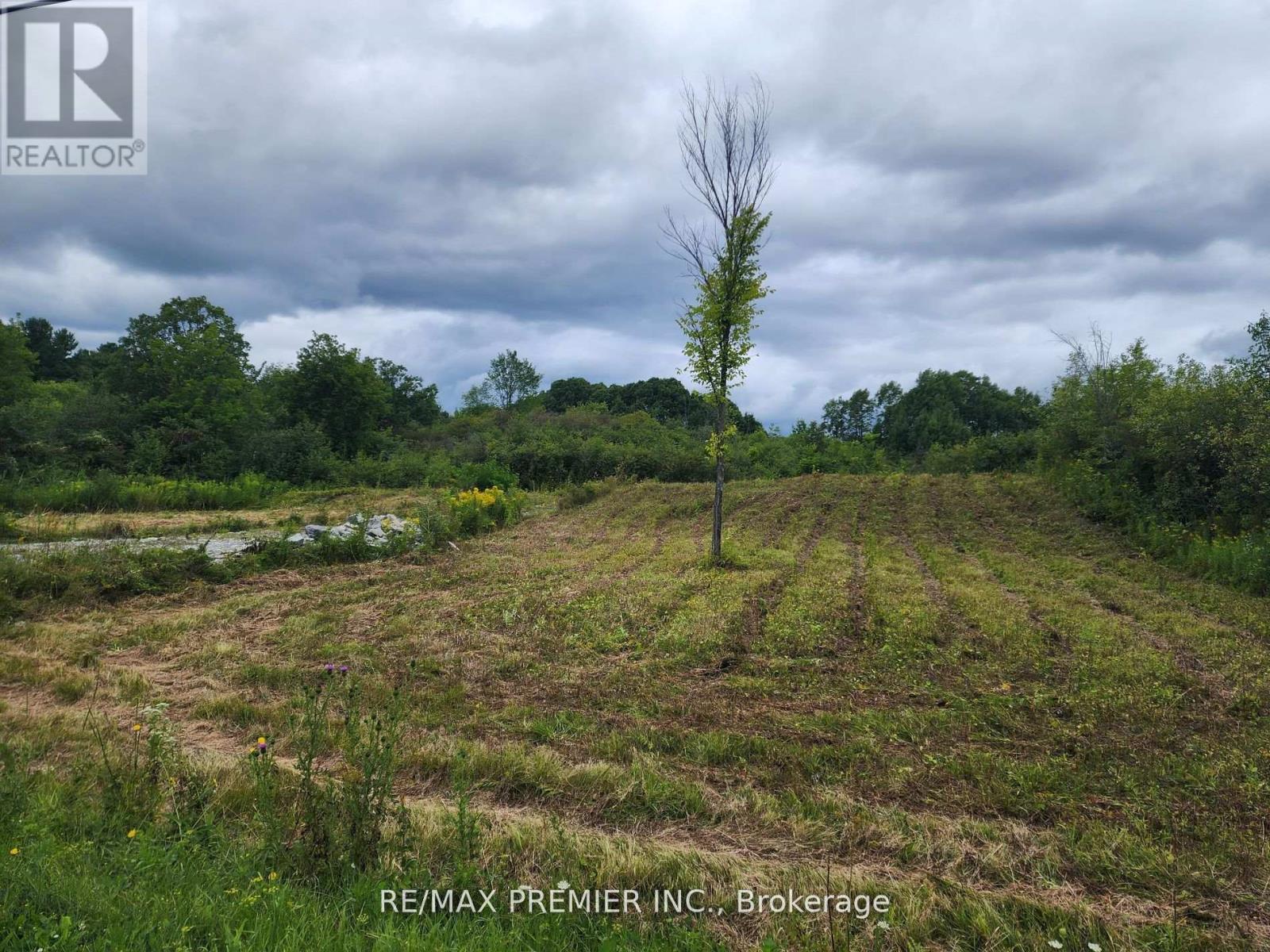 3180 Fourth Concession Road, Kingston, Ontario  K7G 2V5 - Photo 5 - X12501838