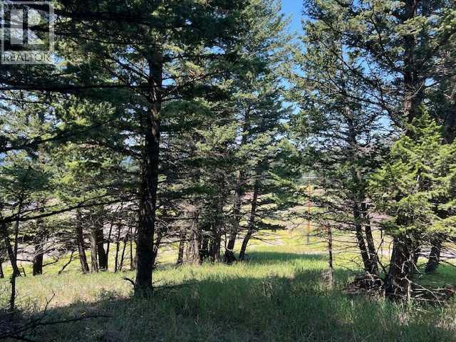 8717 24 Avenue, Coleman, Alberta