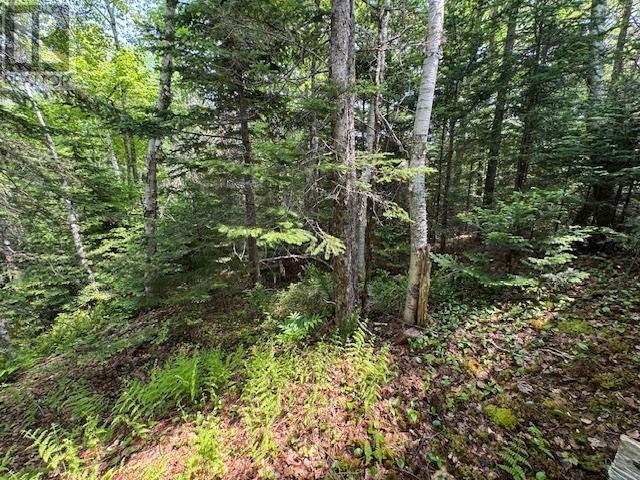 125 Lake Paul Road, Lake Paul, Nova Scotia  B0P 1C0 - Photo 13 - 202514594