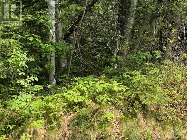 125 Lake Paul Road, Lake Paul, Nova Scotia  B0P 1C0 - Photo 15 - 202514594