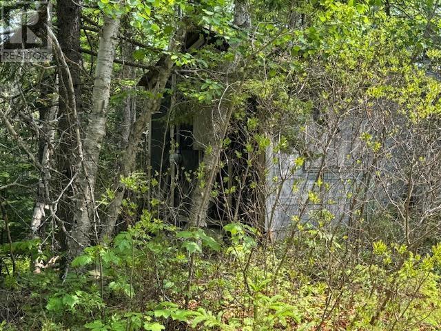 125 Lake Paul Road, Lake Paul, Nova Scotia  B0P 1C0 - Photo 16 - 202514594