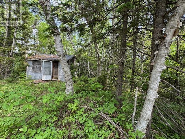 125 Lake Paul Road, Lake Paul, Nova Scotia  B0P 1C0 - Photo 4 - 202514594