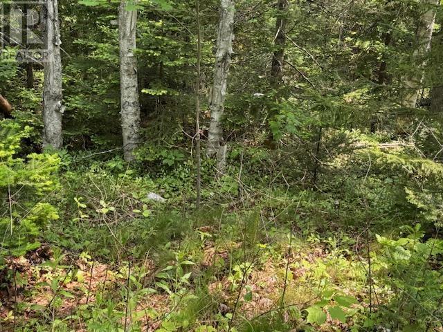 125 Lake Paul Road, Lake Paul, Nova Scotia  B0P 1C0 - Photo 18 - 202514594