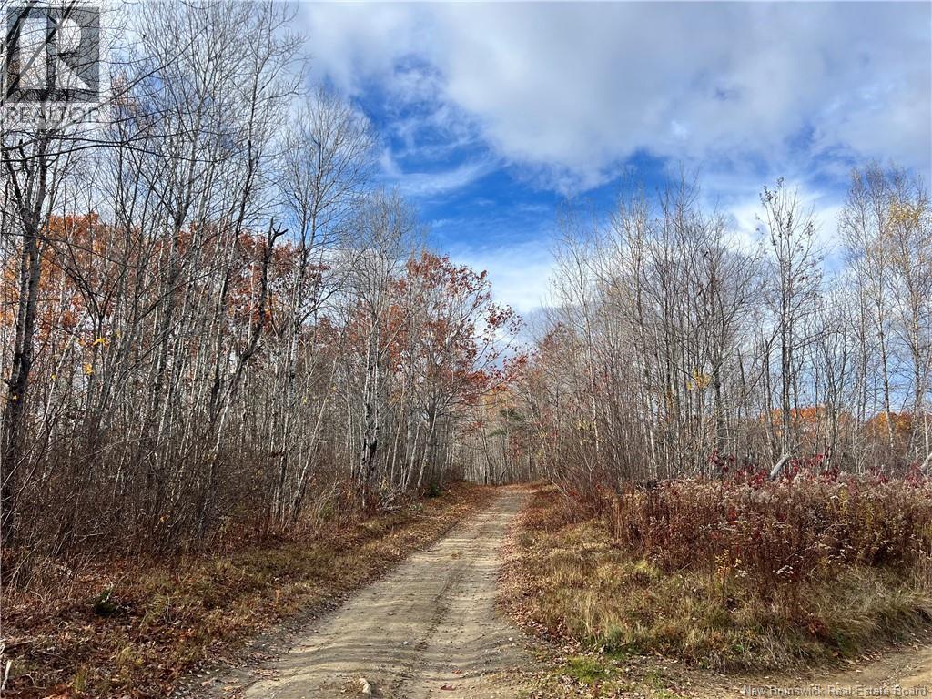 02 Hall Road, Upper Mills, New Brunswick  E3L 5W8 - Photo 1 - NB129555