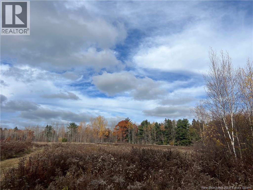 02 Hall Road, Upper Mills, New Brunswick  E3L 5W8 - Photo 8 - NB129555