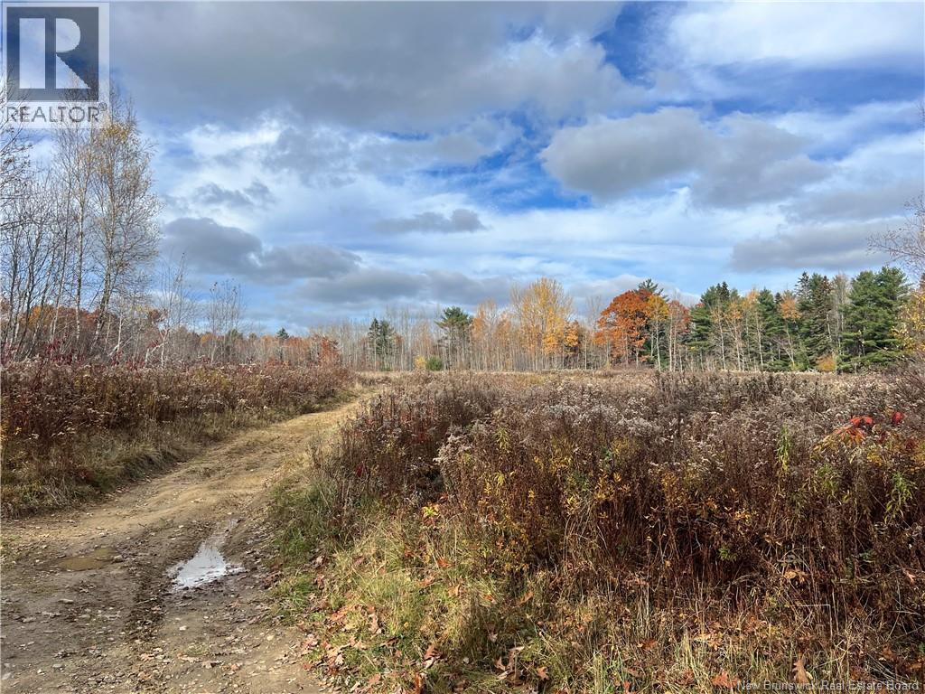 02 Hall Road, Upper Mills, New Brunswick  E3L 5W8 - Photo 3 - NB129555