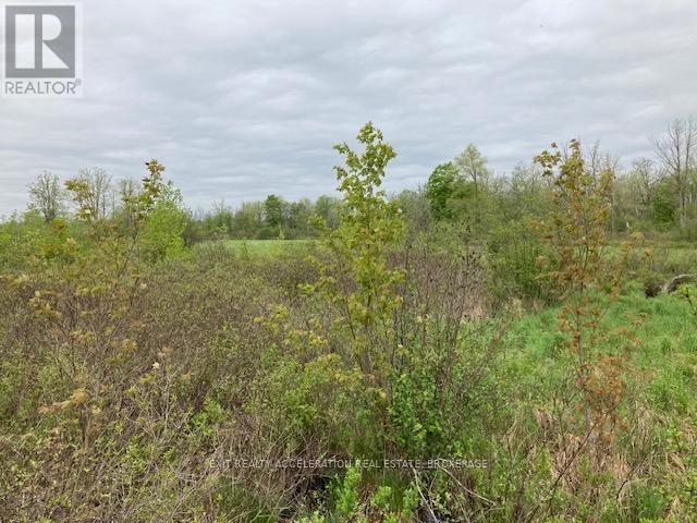 0 9th Concession Road, Stone Mills (Stone Mills), Ontario  K0K 1Z0 - Photo 25 - X12502312