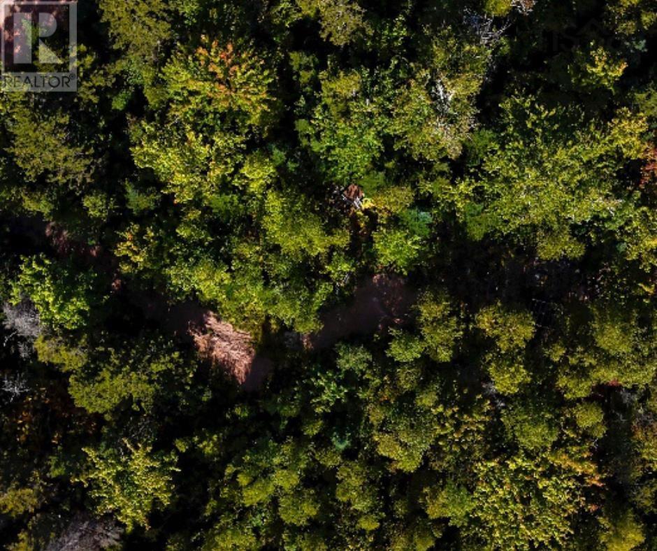 87-1 Falkenham Road, East Dalhousie, Nova Scotia  B0R 1H0 - Photo 12 - 202527085