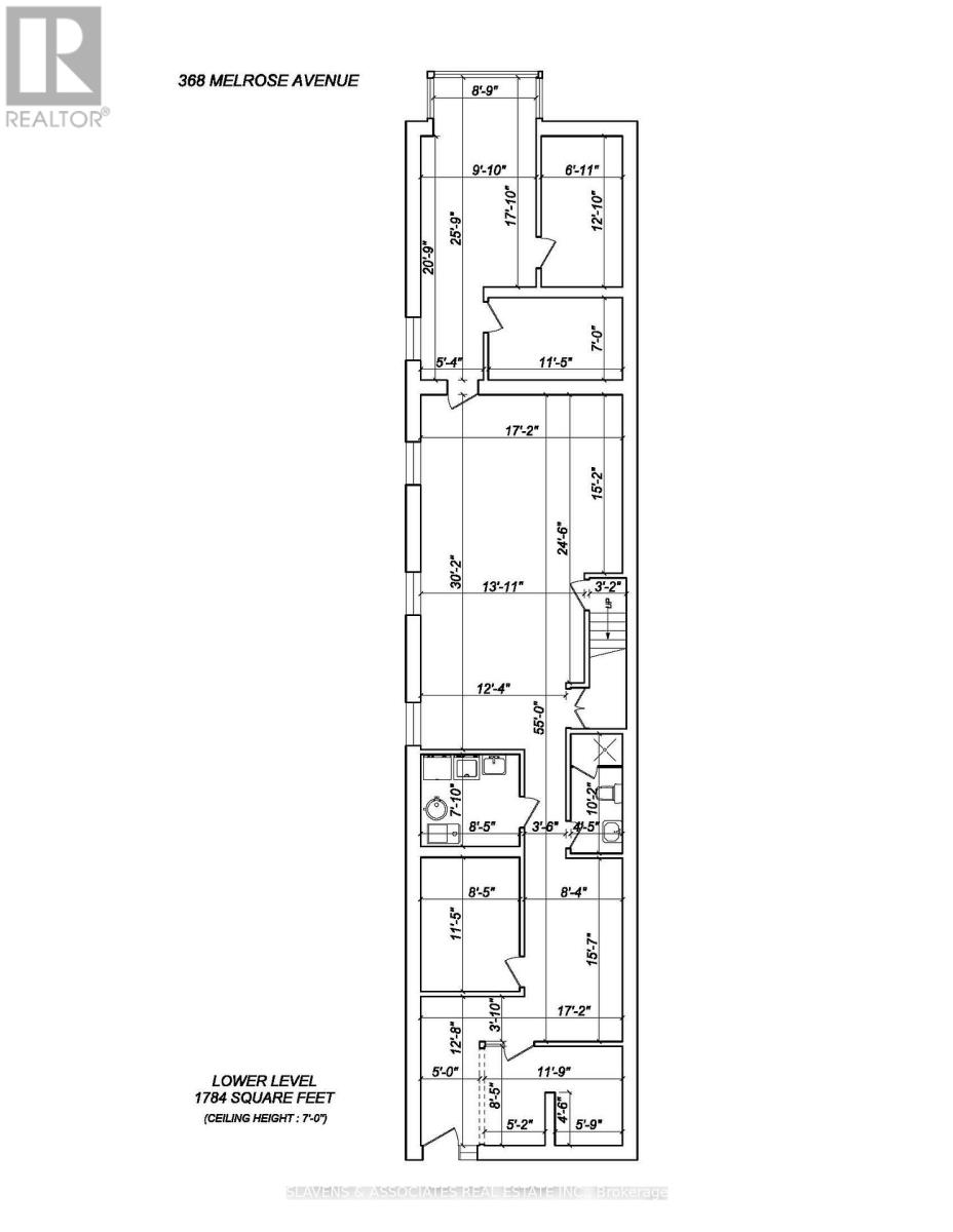 Lower - 368 Melrose Avenue, Toronto, Ontario  M5M 1Z7 - Photo 4 - C12502220