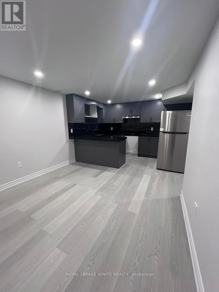 Bsmnt - 2494 Kentucky Derby Way, Oshawa, Ontario  L1L 0R7 - Photo 2 - E12502284