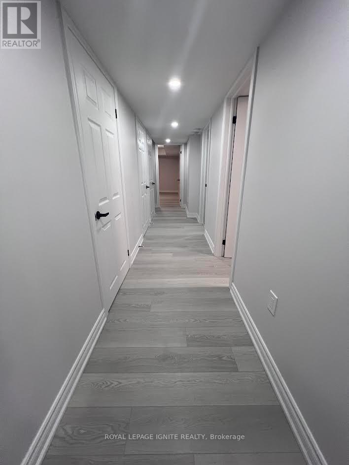 Bsmnt - 2494 Kentucky Derby Way, Oshawa, Ontario  L1L 0R7 - Photo 3 - E12502284