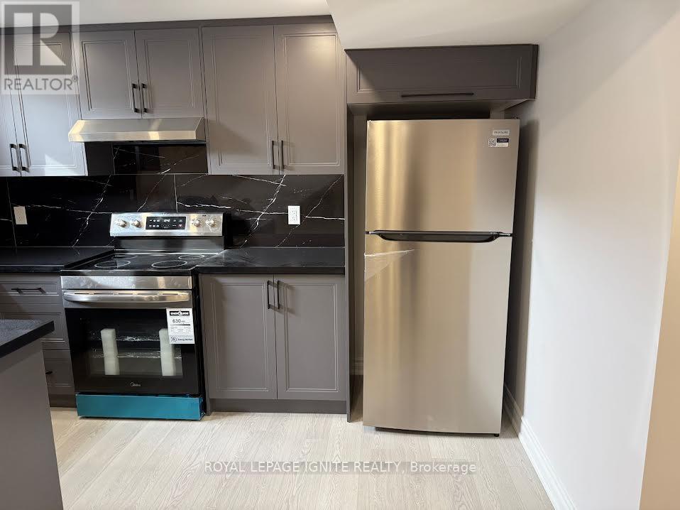 Bsmnt - 2494 Kentucky Derby Way, Oshawa, Ontario  L1L 0R7 - Photo 8 - E12502284