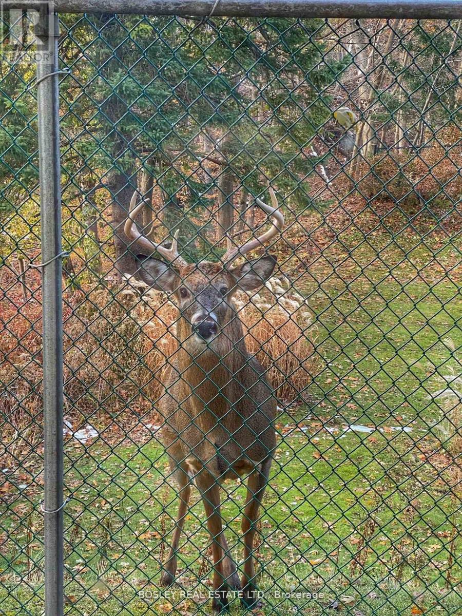 25 Ayre Point Road, Toronto, Ontario  M1M 1G4 - Photo 49 - E12502500