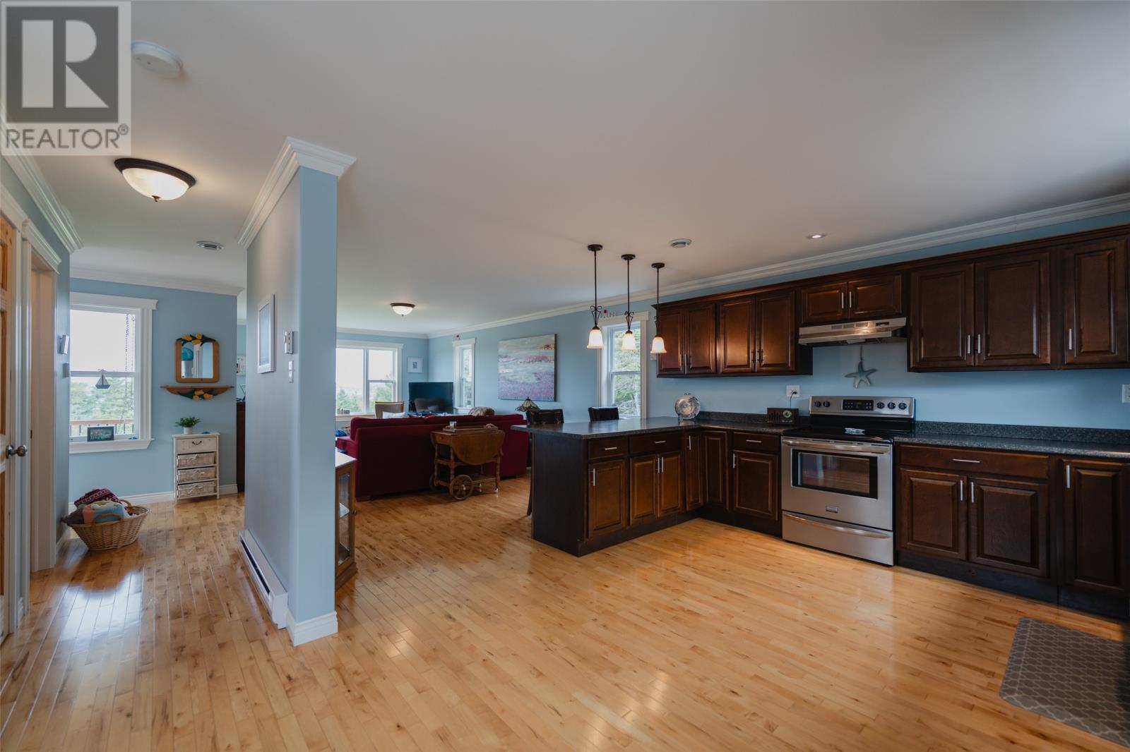 239-241 Burnt Head Loop Road, Cupids, Newfoundland & Labrador  A0A 2B0 - Photo 6 - 1290488