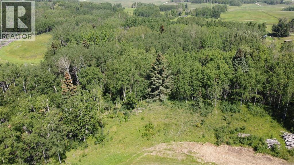 28 Elkstone Way, Rural Rocky View County, Alberta  T4C 2Y8 - Photo 6 - A2236090