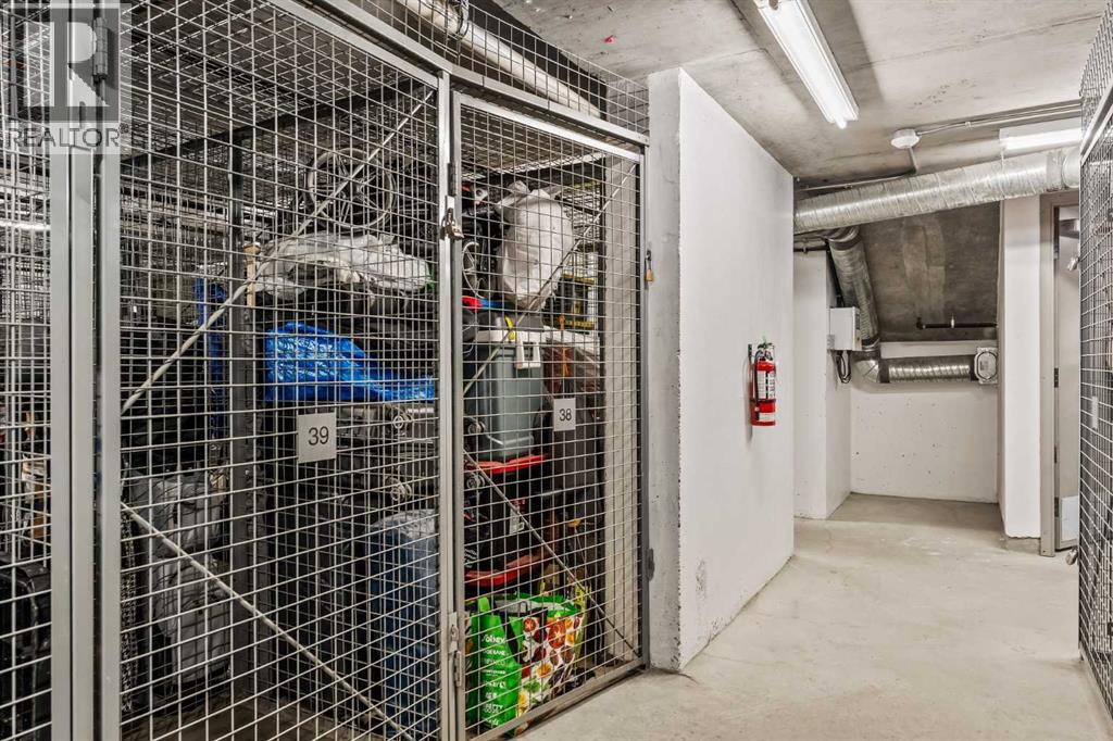 206, 301 10 Street Nw, Calgary, Alberta  T2N 1V5 - Photo 27 - A2265458