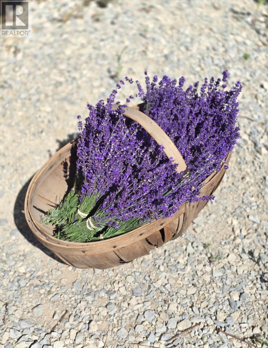 12 - 137122 Grey Road, Meaford, Ontario  N4L 1W5 - Photo 42 - X12487858