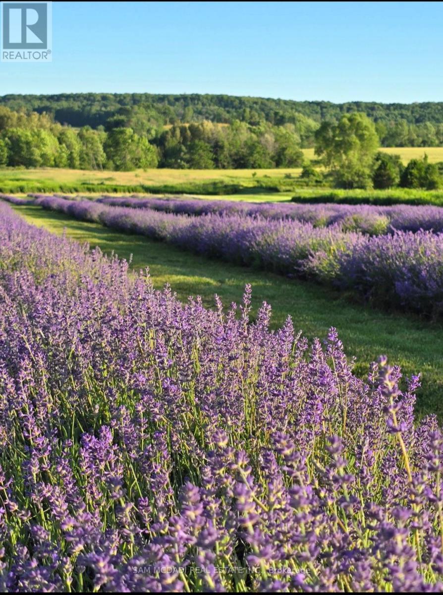 12 - 137122 Grey Road, Meaford, Ontario  N4L 1W5 - Photo 44 - X12487858