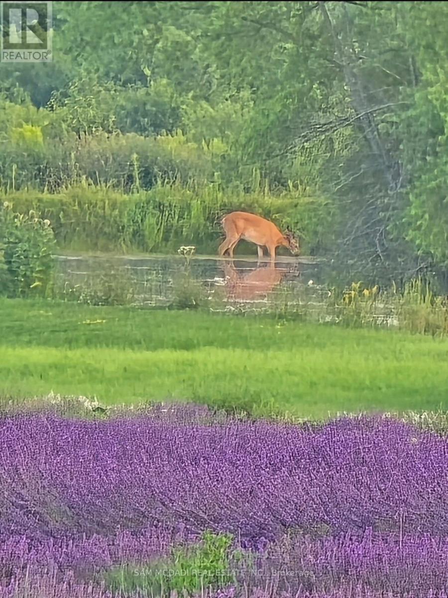 12 - 137122 Grey Road, Meaford, Ontario  N4L 1W5 - Photo 46 - X12487858