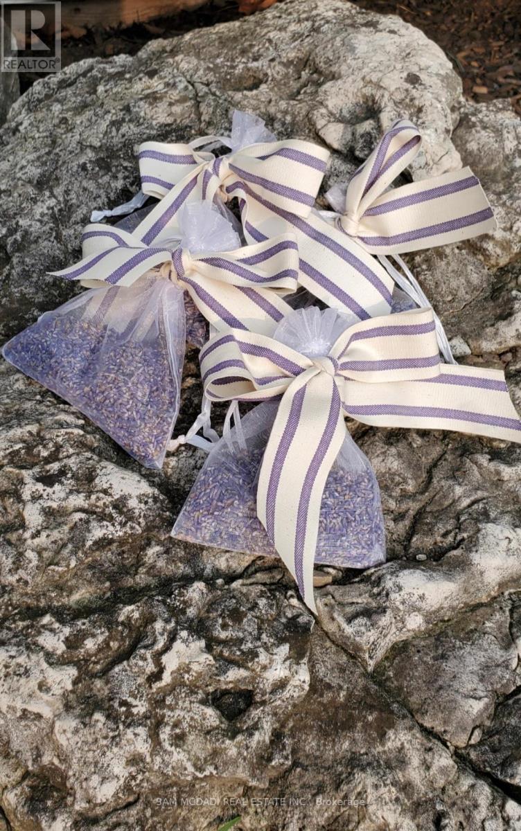 12 - 137122 Grey Road, Meaford, Ontario  N4L 1W5 - Photo 43 - X12487858