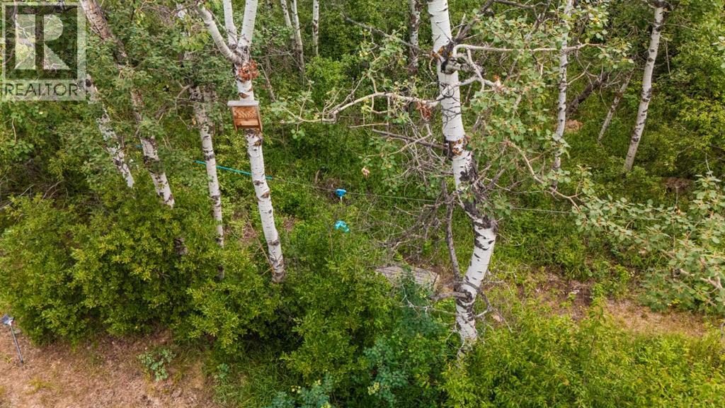 39 Buffalo Drive, Rural Stettler No. 6, Alberta  T0C 3B0 - Photo 16 - A2235057