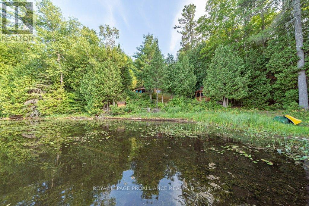 4325a Road 506, North Frontenac, Ontario  K0H 1K0 - Photo 44 - X12361182