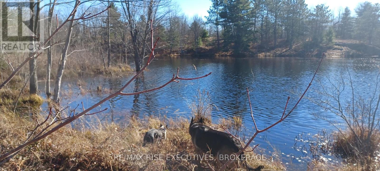 Pt Lt 22-23 Con 8 Kaladar, Addington Highlands, Ontario  K0H 2G0 - Photo 10 - X12383305