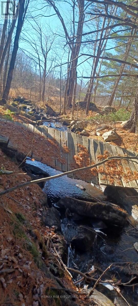 Pt Lt 22-23 Con 8 Kaladar, Addington Highlands, Ontario  K0H 2G0 - Photo 15 - X12383305