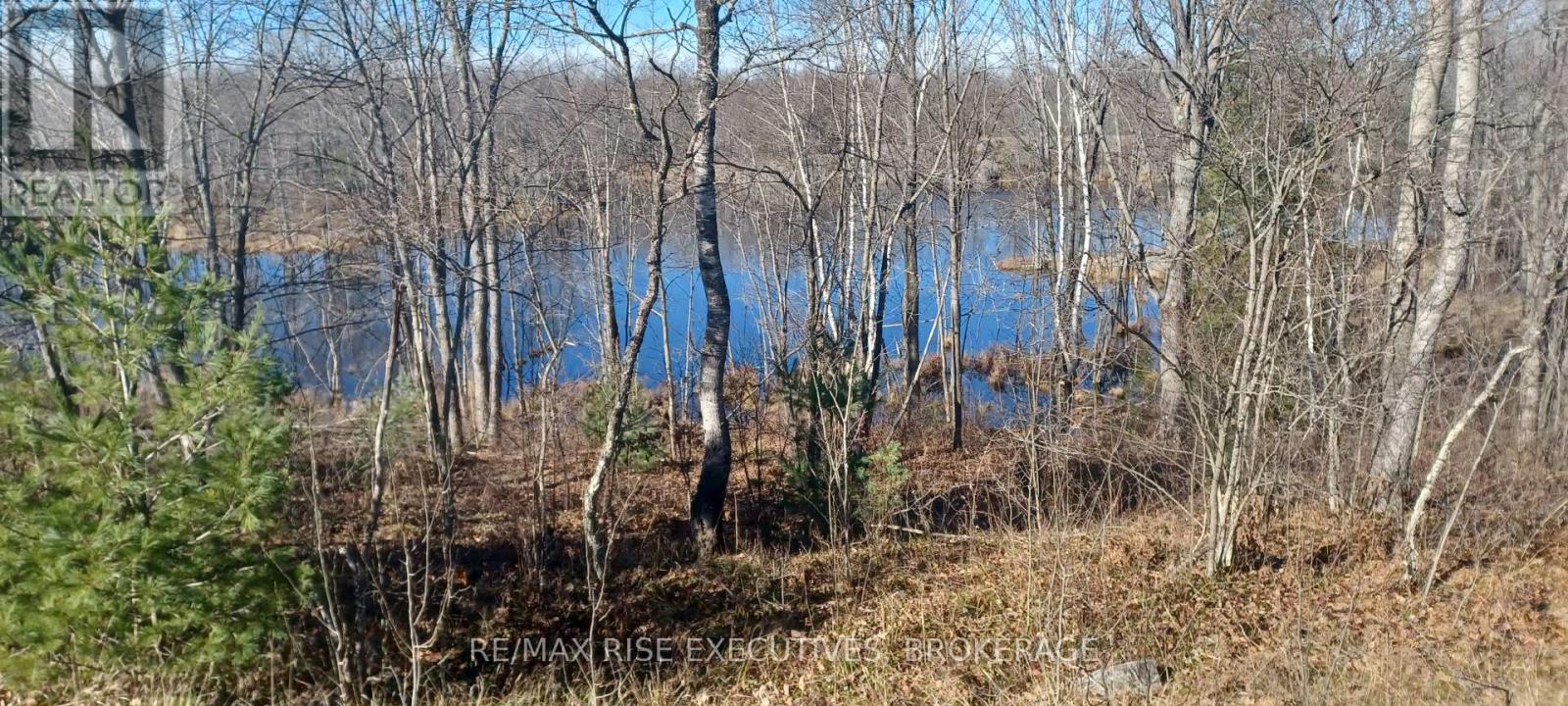 Pt Lt 22-23 Con 8 Kaladar, Addington Highlands, Ontario  K0H 2G0 - Photo 11 - X12383305