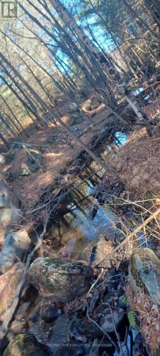 Pt Lt 22-23 Con 8 Kaladar, Addington Highlands, Ontario  K0H 2G0 - Photo 16 - X12383305