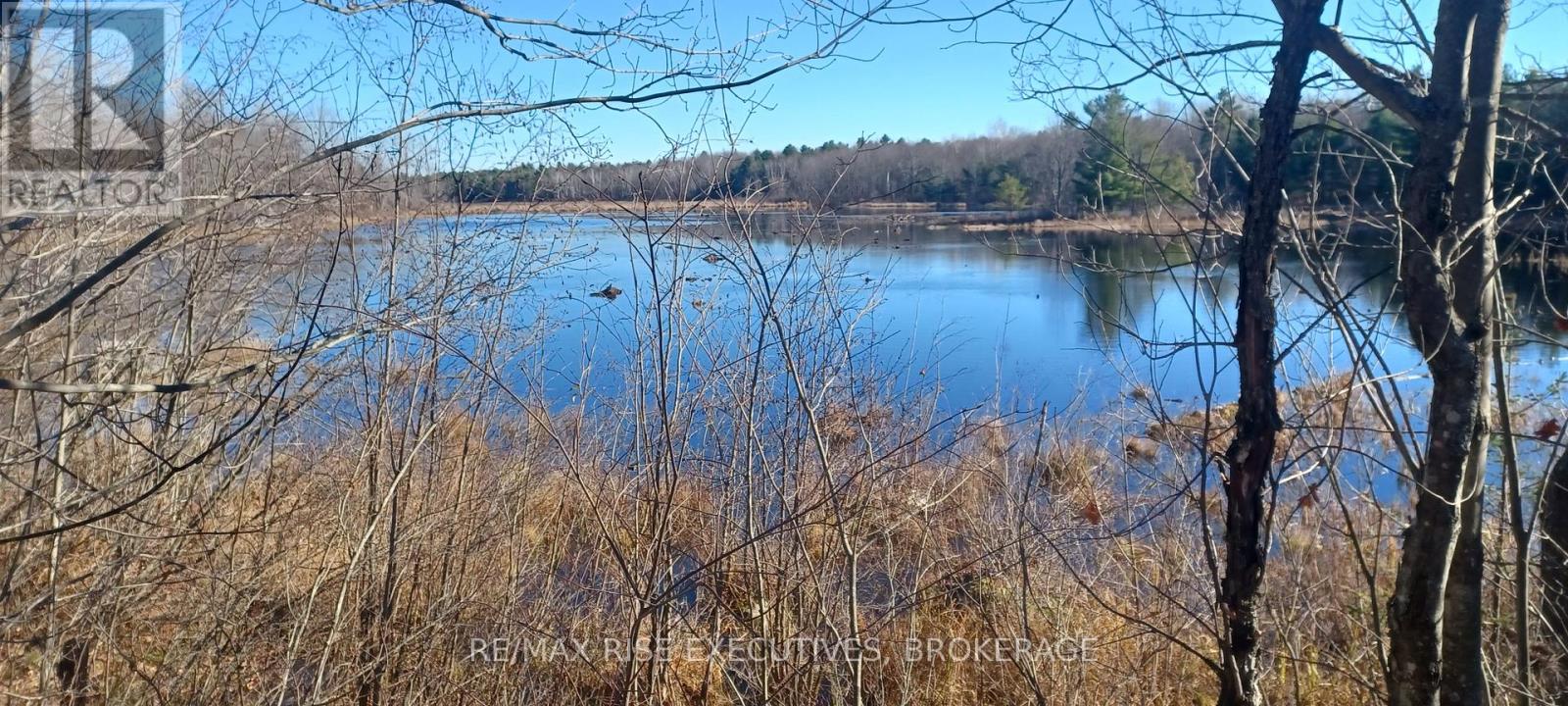 Pt Lt 22-23 Con 8 Kaladar, Addington Highlands, Ontario  K0H 2G0 - Photo 13 - X12383305