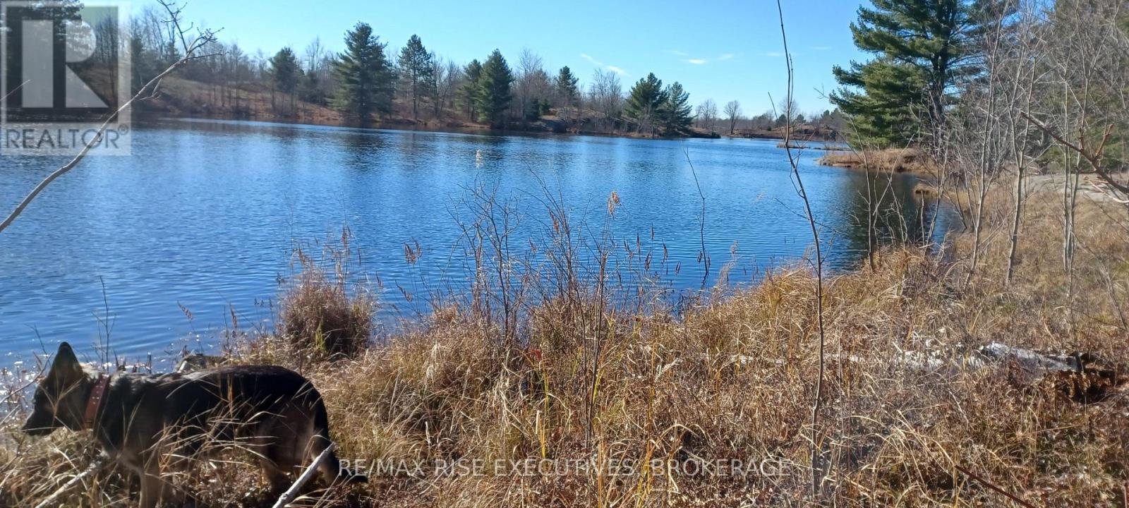 Pt Lt 22-23 Con 8 Kaladar, Addington Highlands, Ontario  K0H 2G0 - Photo 9 - X12383305