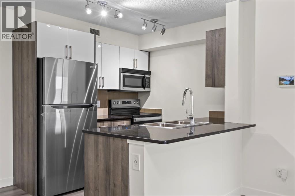 304, 7110 80 Avenue Ne, Calgary, Alberta  T3J 0B5 - Photo 8 - A2243679