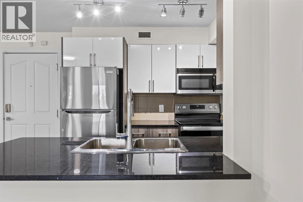 304, 7110 80 Avenue Ne, Calgary, Alberta  T3J 0B5 - Photo 5 - A2243679