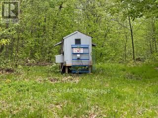 1703 Matawatchan Road N, Greater Madawaska, Ontario  K0J 2R0 - Photo 10 - X12209776