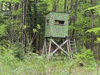 1703 Matawatchan Road N, Greater Madawaska, Ontario  K0J 2R0 - Photo 17 - X12209776