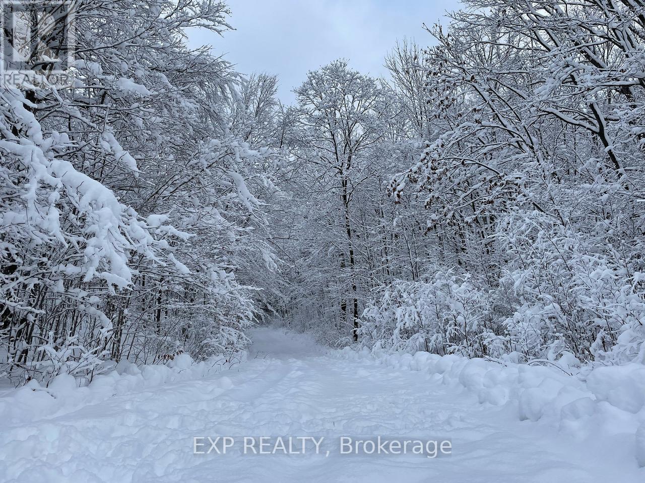 1703 Matawatchan Road N, Greater Madawaska, Ontario  K0J 2R0 - Photo 31 - X12209776