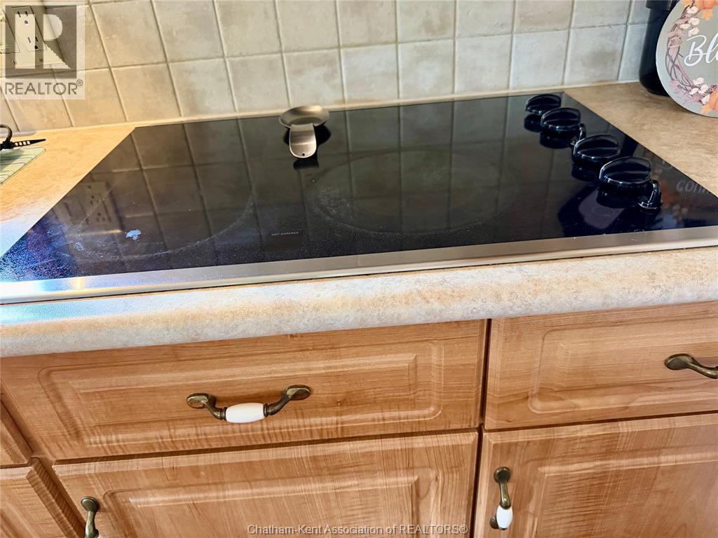 333 Talbot Street West, Blenheim, Ontario N0P 1A0 - Photo 9 - 25027254