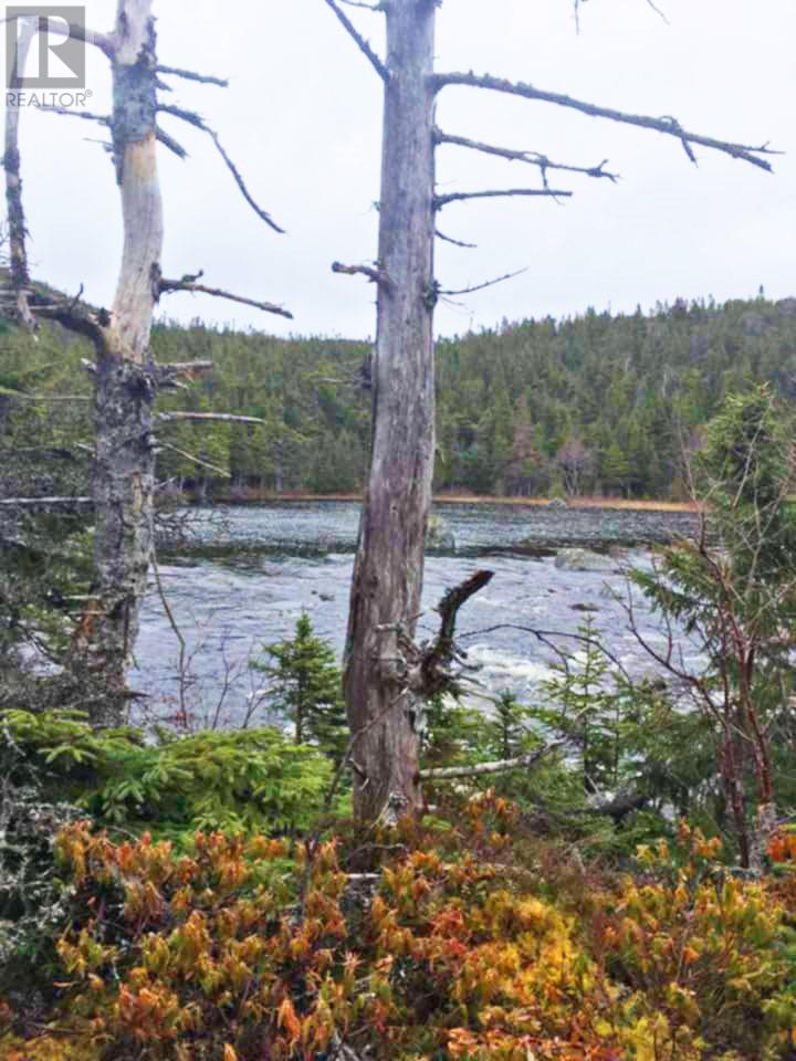 0 Pope's Harbour Road, Pope's Harbour, Newfoundland & Labrador  A0C 1G0 - Photo 18 - 1286192