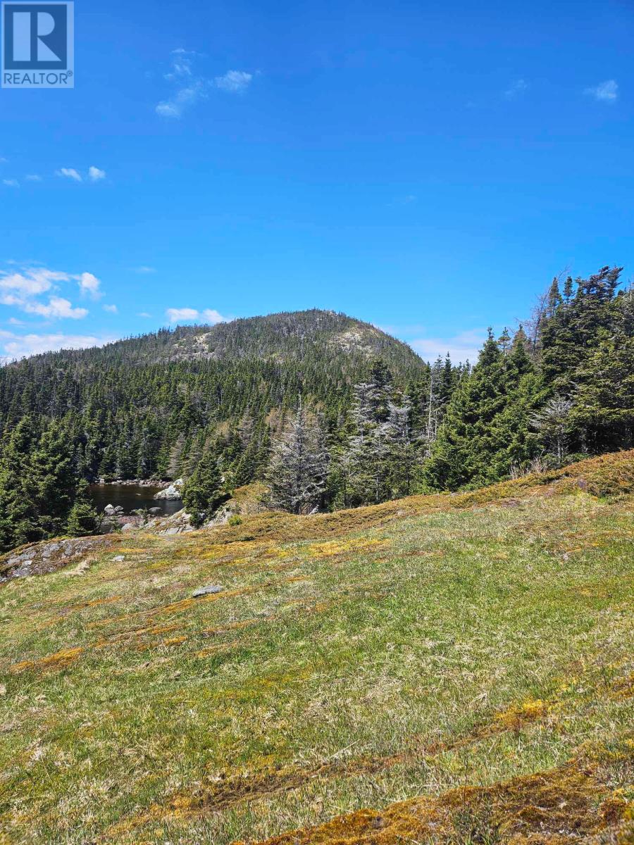0 Pope's Harbour Road, Pope's Harbour, Newfoundland & Labrador  A0C 1G0 - Photo 23 - 1286192