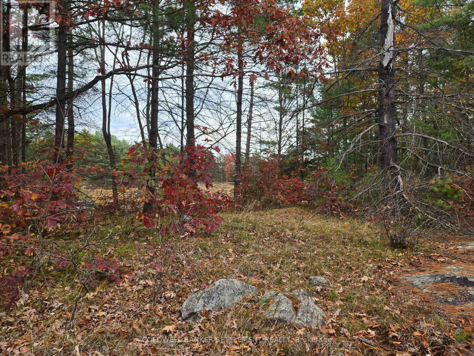 0 Cranberry Lake Road, Frontenac, Ontario K0H 0B6 - Photo 10 - X12503054