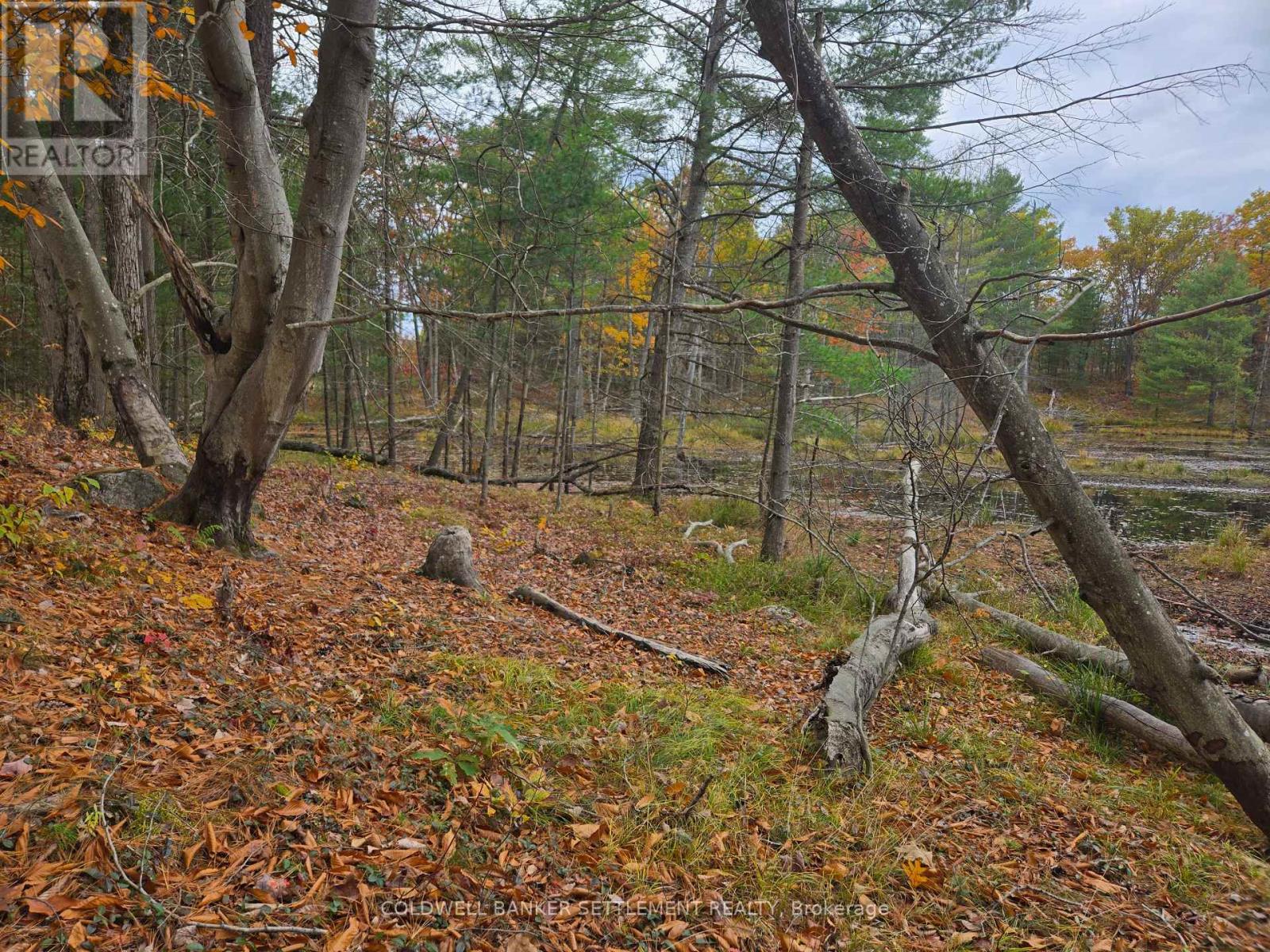 0 Cranberry Lake Road, Frontenac, Ontario K0H 0B6 - Photo 11 - X12503054