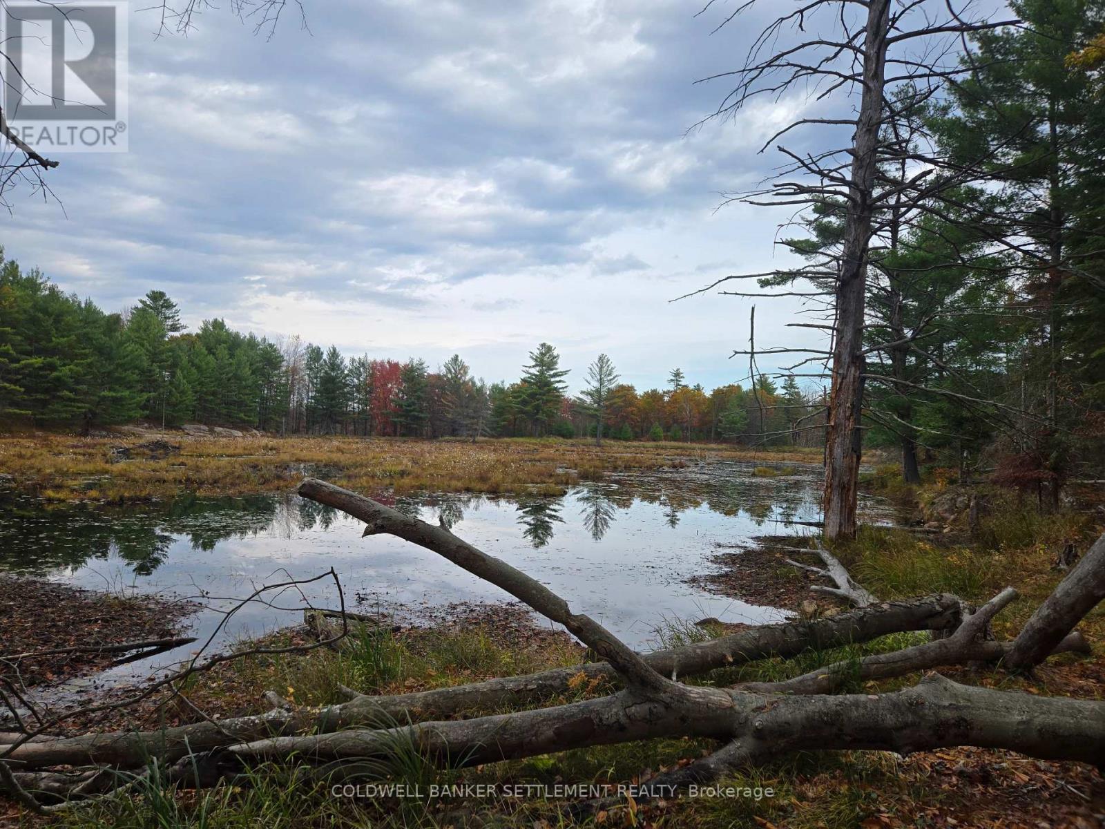 0 Cranberry Lake Road, Frontenac, Ontario K0H 0B6 - Photo 12 - X12503054