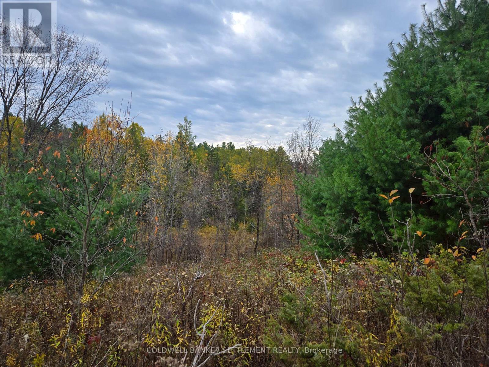 0 Cranberry Lake Road, Frontenac, Ontario K0H 0B6 - Photo 5 - X12503054