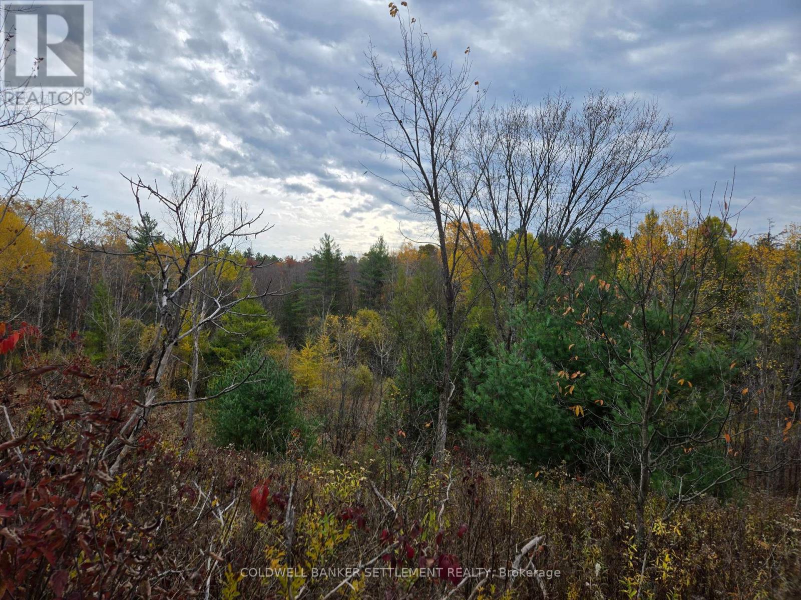 0 Cranberry Lake Road, Frontenac, Ontario K0H 0B6 - Photo 6 - X12503054
