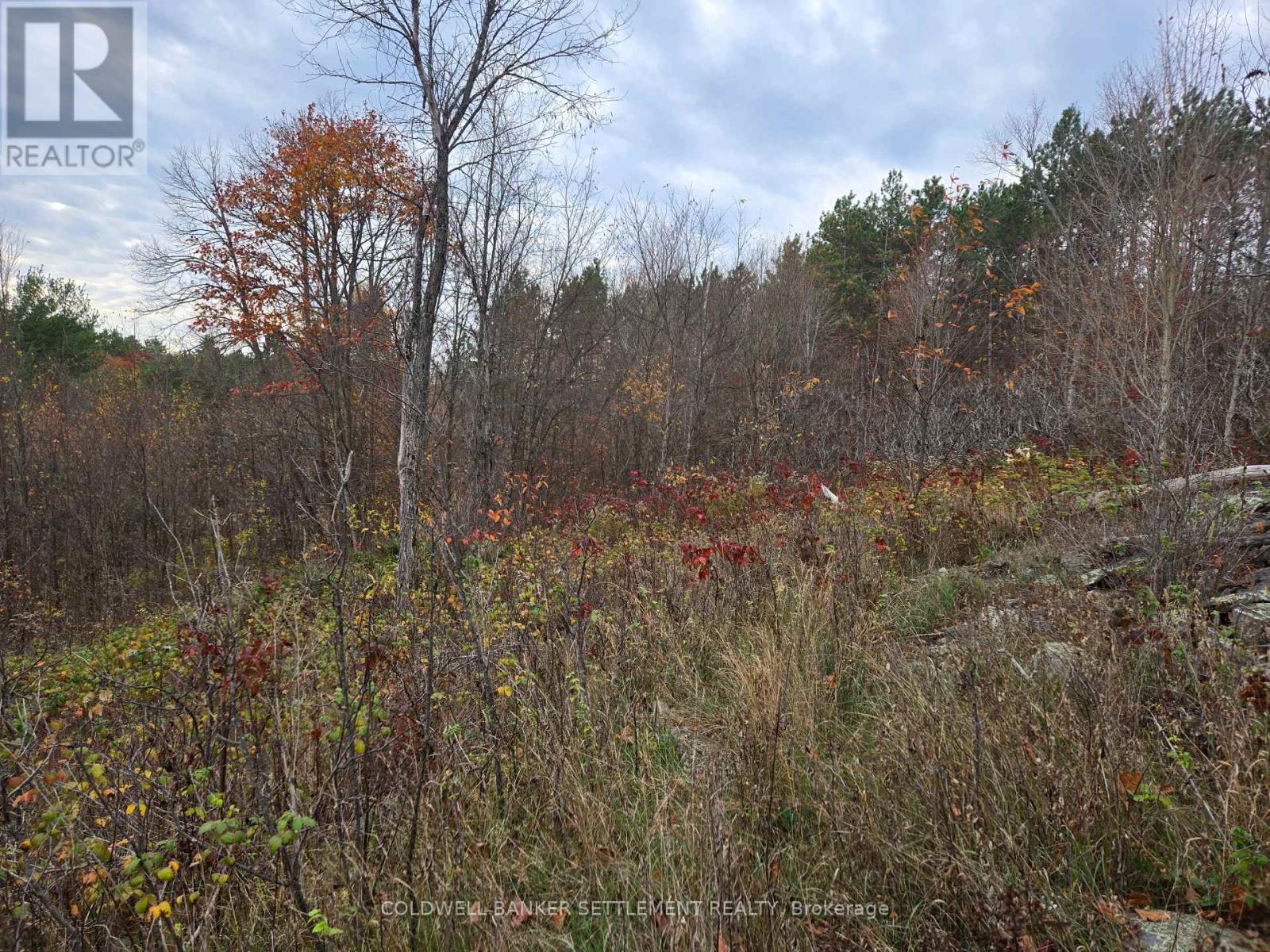 0 Cranberry Lake Road, Frontenac, Ontario K0H 0B6 - Photo 7 - X12503054