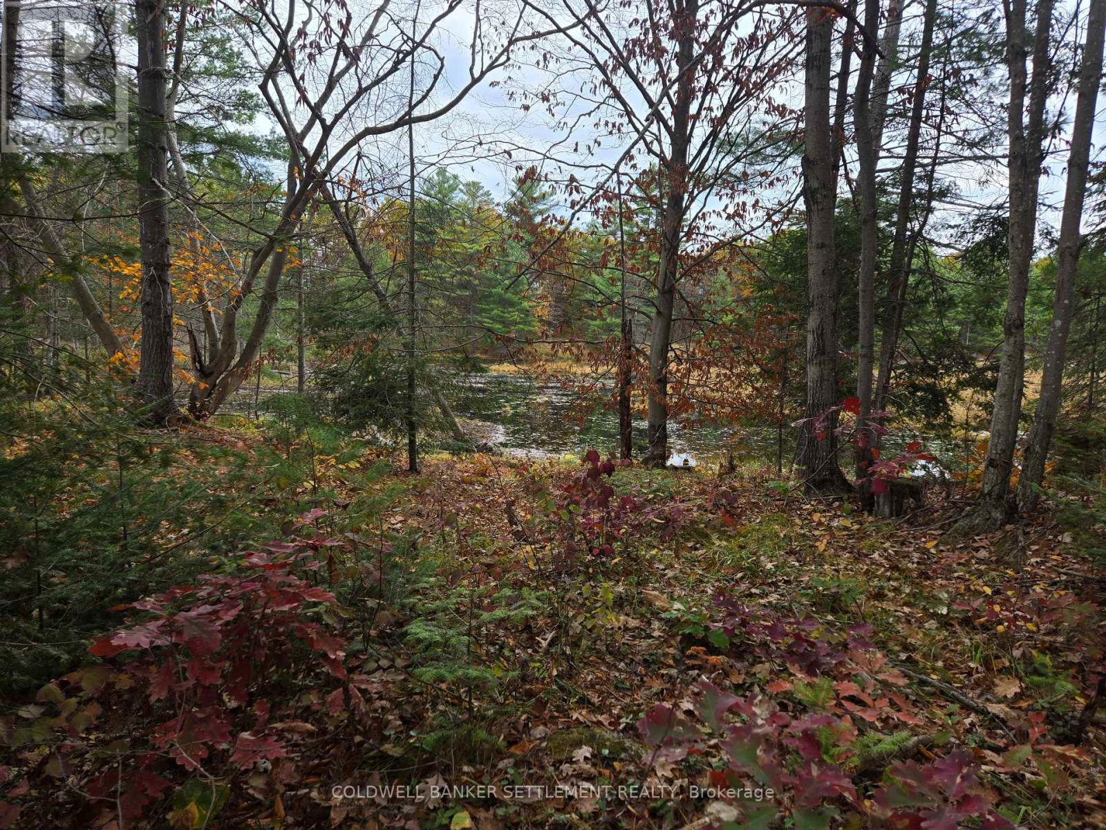 0 Cranberry Lake Road, Frontenac, Ontario K0H 0B6 - Photo 9 - X12503054