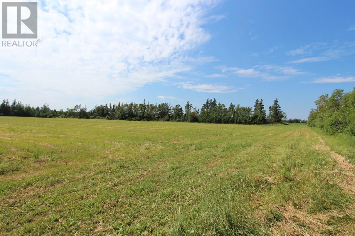 Route 20, Springbrook, Prince Edward Island  C0B 1M0 - Photo 12 - 202527118